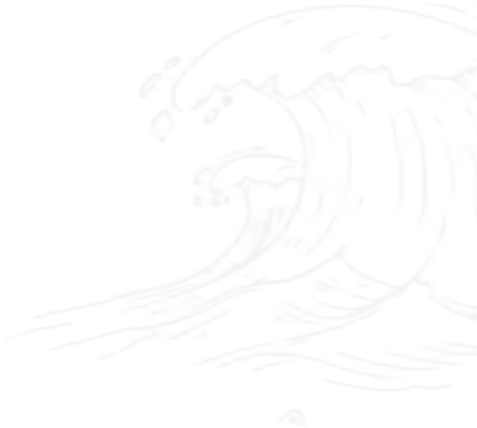 About Vector BG