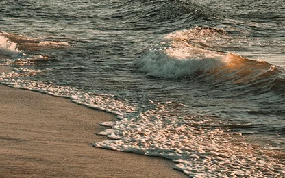 The Beach Always Knows