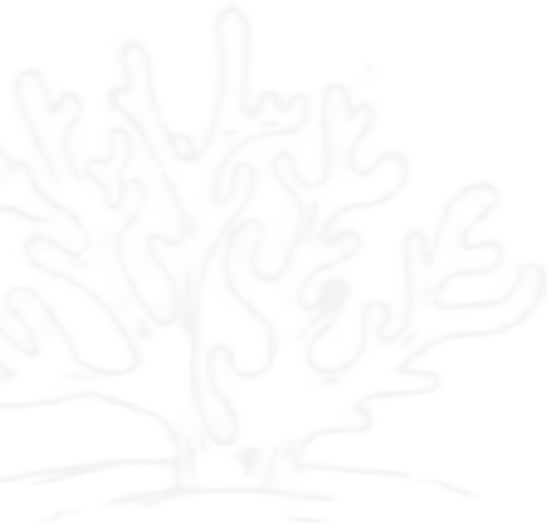 jelly vector